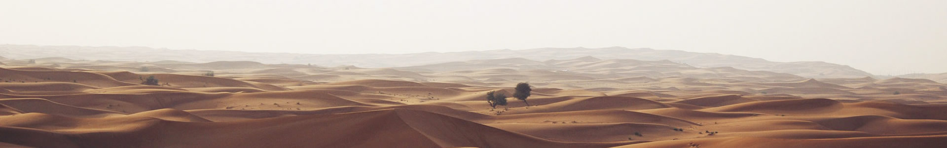 ɽɭڻƼ޹˾
